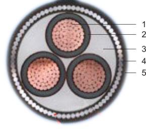 交联聚氯乙烯绝缘电力电缆(图2) 交联聚氯乙烯绝缘电力电缆(图2)